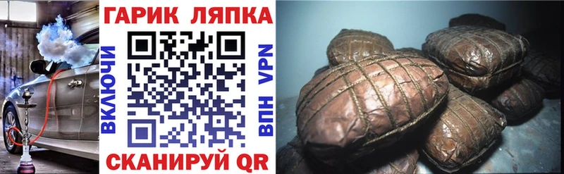 hydra ТОР  Тамбов  Гашиш индика сатива  где найти  