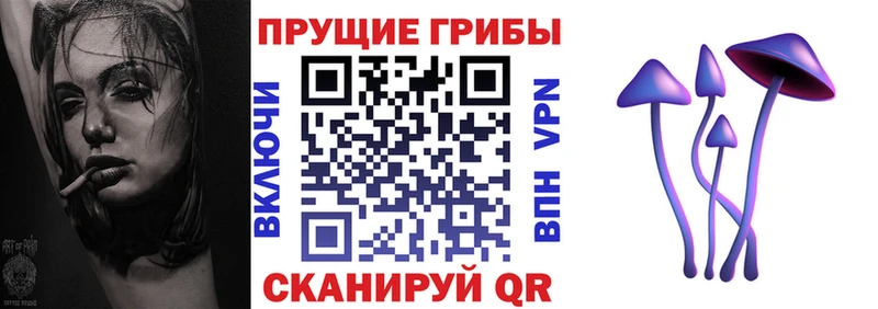 Псилоцибиновые грибы мицелий  закладки  Тамбов 